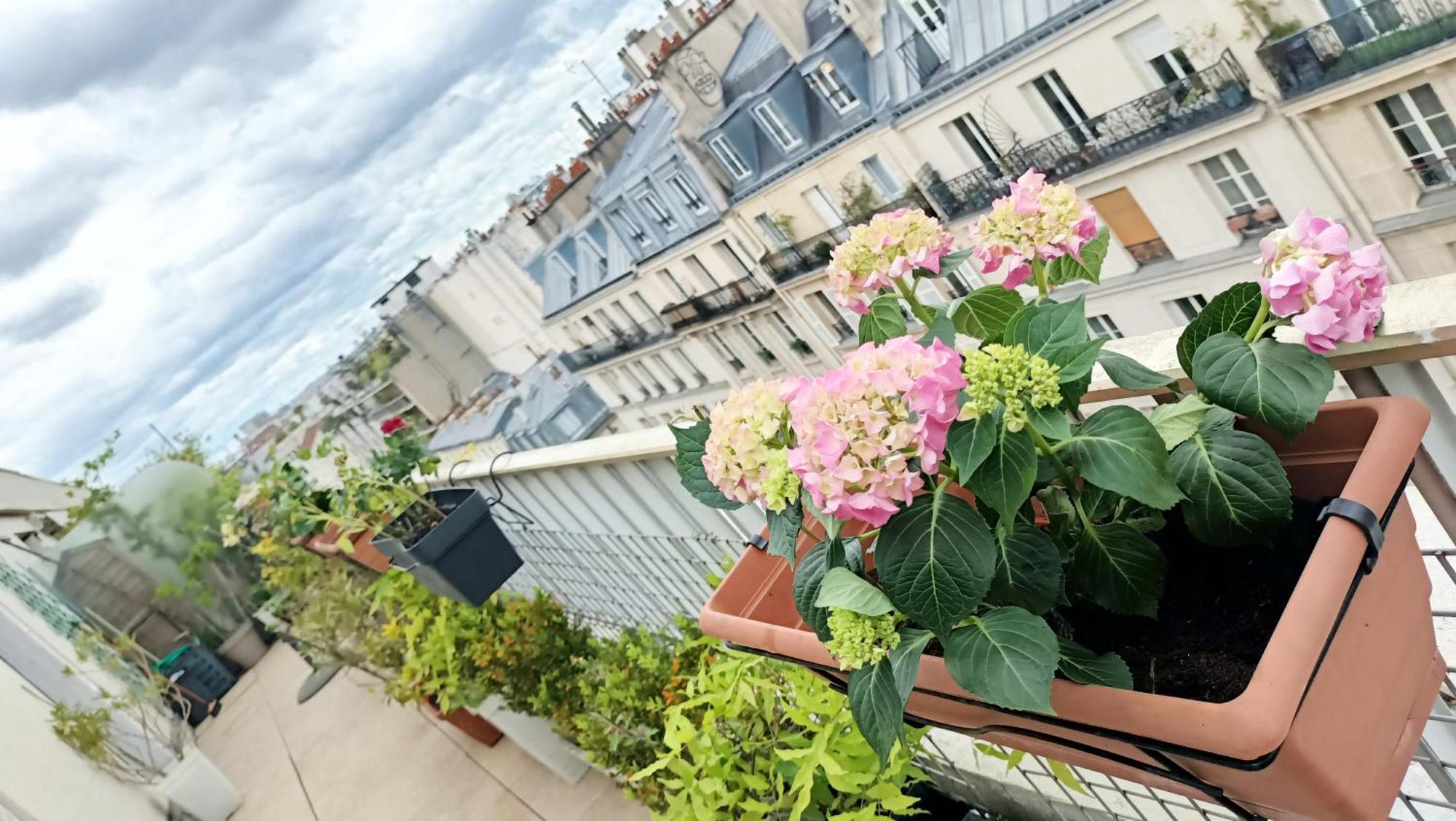 King Bedroom And Terrace In Center, Shared Bathroom Parijs